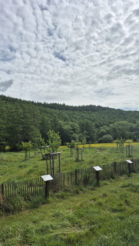 Streuobstwiese Wahlbach