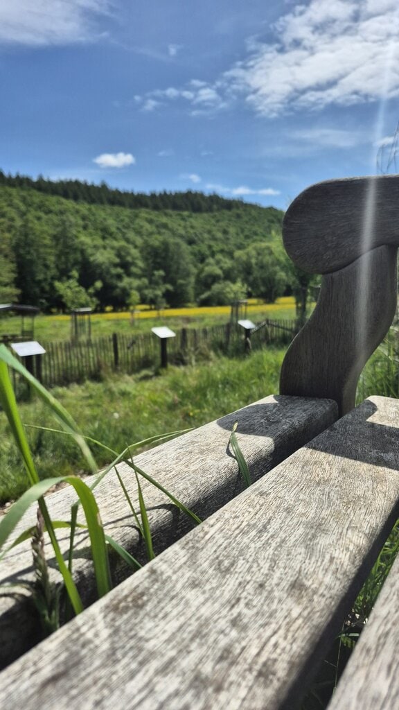 Streuobstwiese Wahlbach