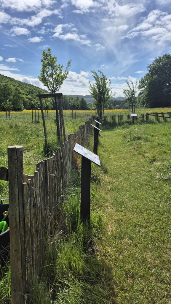 Streuobstwiese Wahlbach