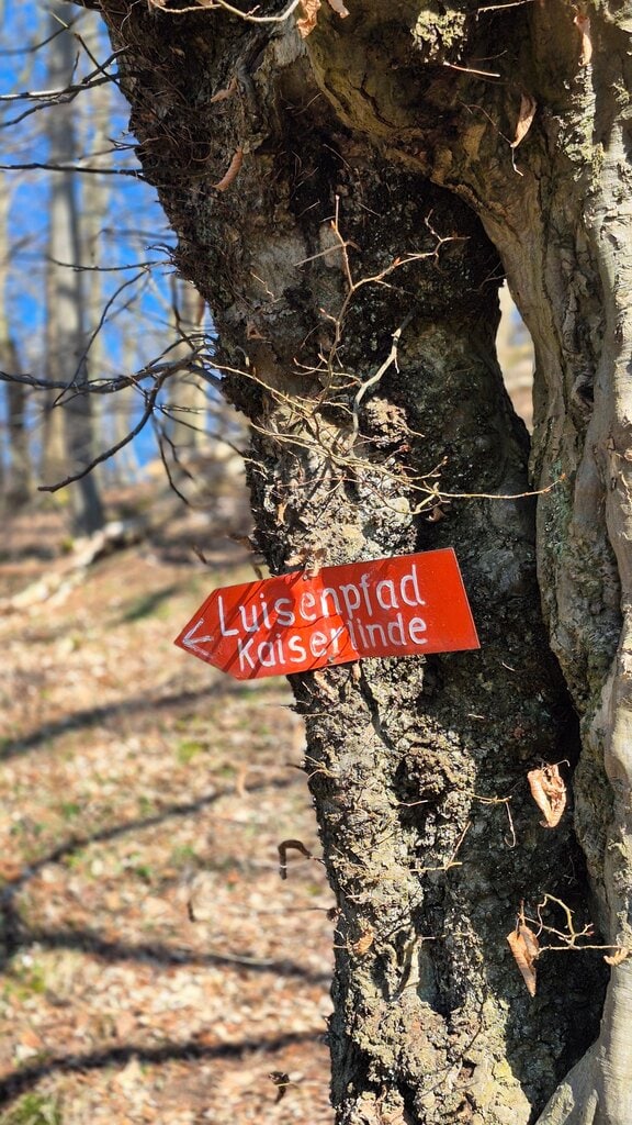 Erlebnisweg Luisenpfad