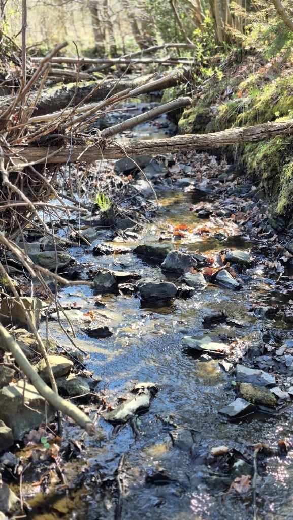 ZunkuntsWERTER Wasserort - Heckebach