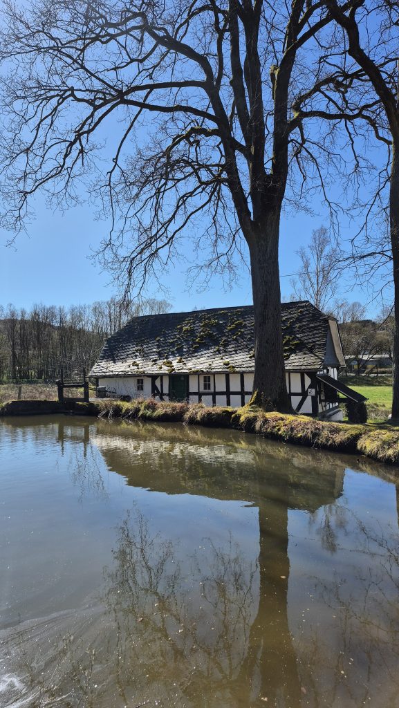 ZukunftsWERTE Wasserorte – Niederdielfer Mühle