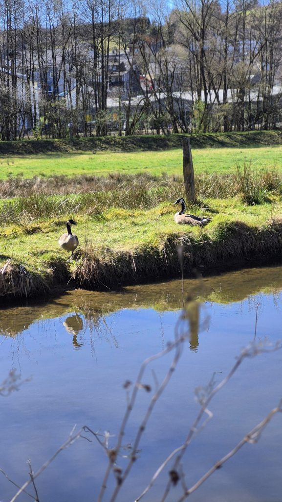 ZukunftsWERTE Wasserorte – Niederdielfer Mühle