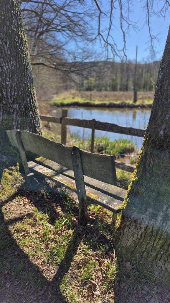 ZukunftsWERTE Wasserorte - Niederdielfer Mühle