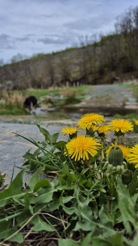 Die Natur mit allen Sinnen erleben