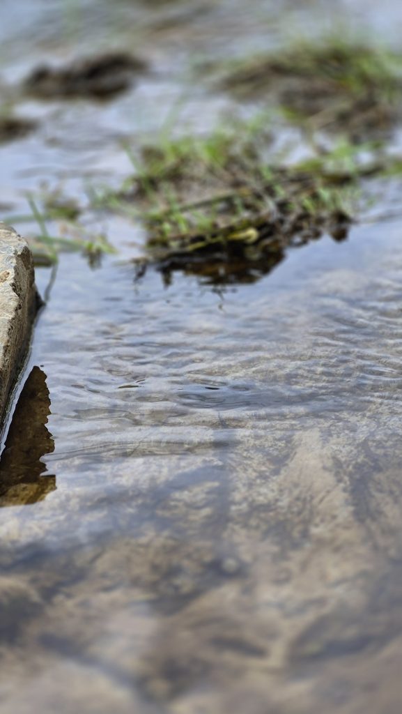 ZukunftsWERTER Wasserort - Weisstal