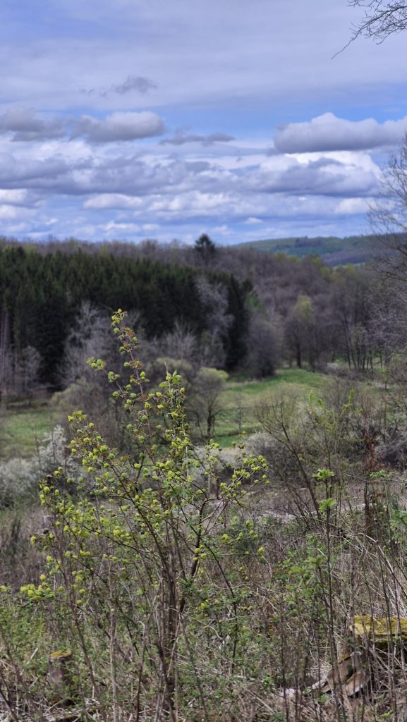 ZukunftsWERTER Wasserort - Weisstal