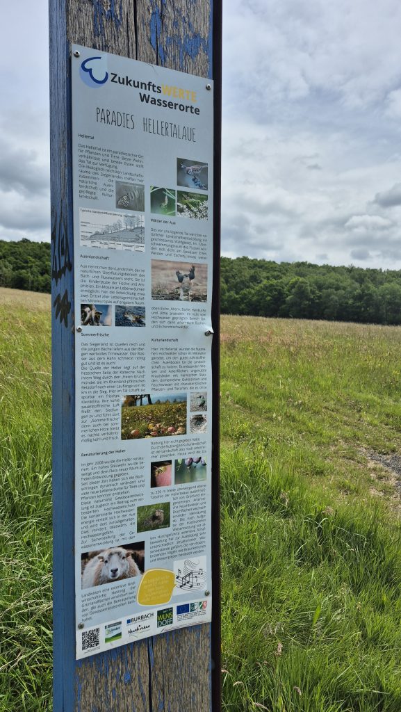 ZukunftsWERTE Wasserorte "Paradies Hellertalaue"