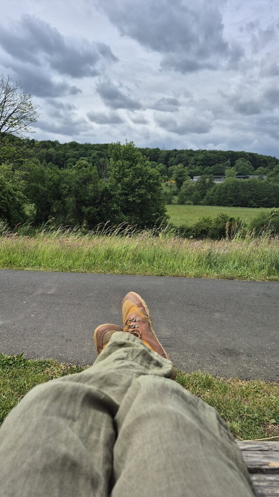 Führung durch das NSG Wildenbachtal