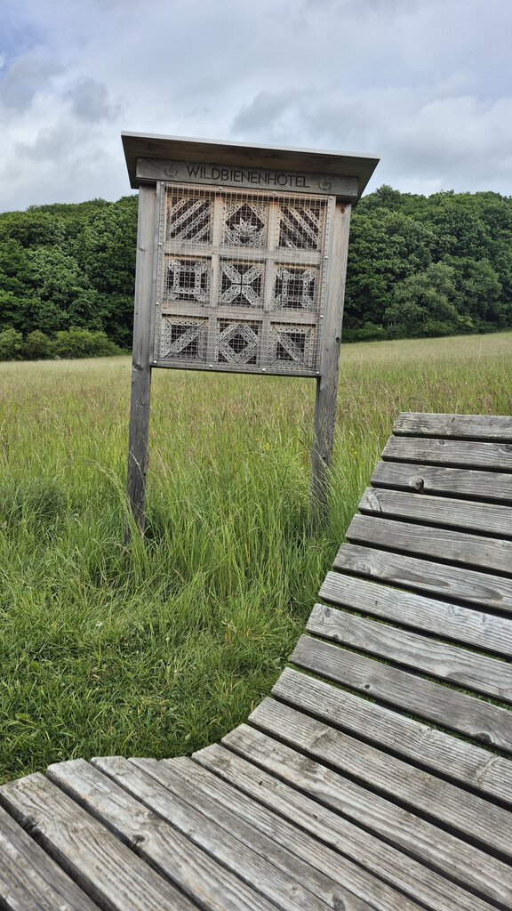 ZukunftsWERTE Wasserorte – Paradies Hellertalaue