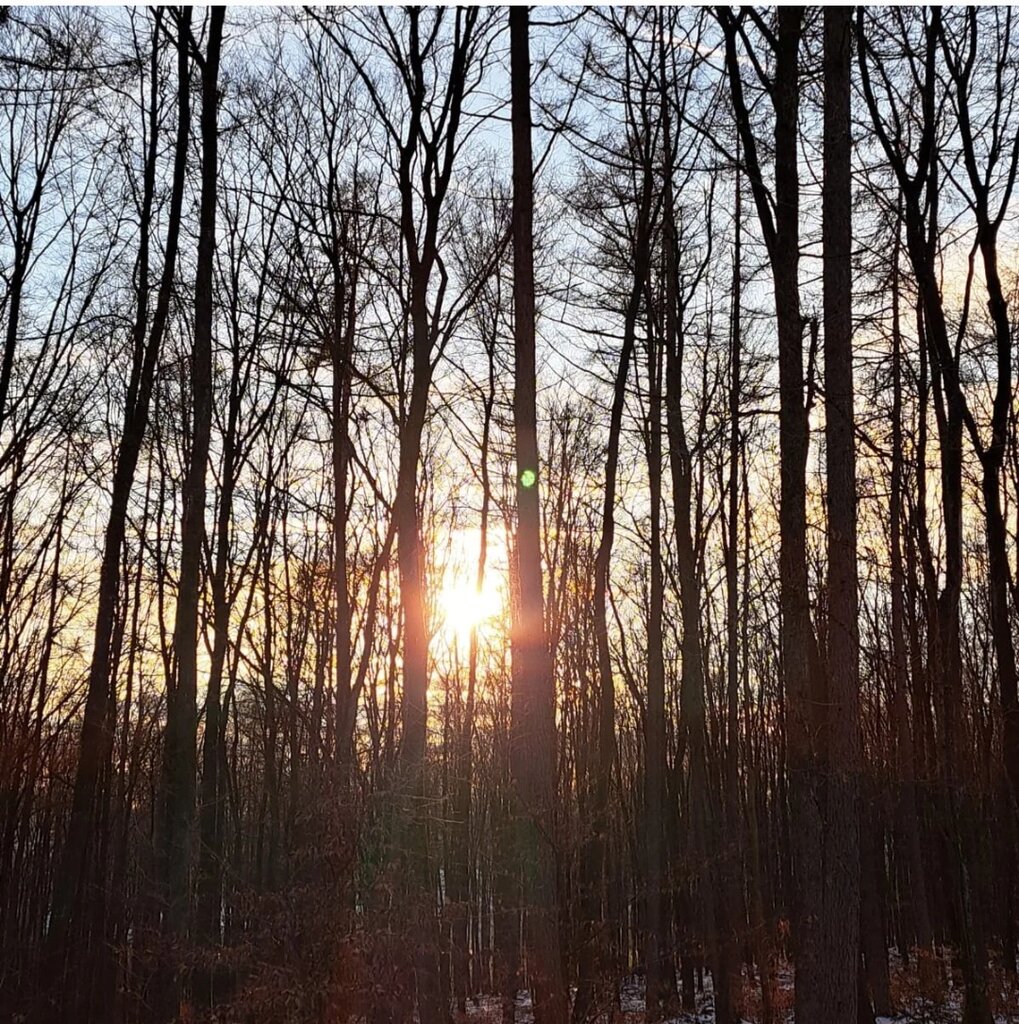 Waldbaden am Fuße der Kalteiche
