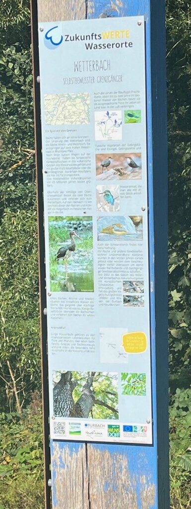 ZukunftsWERTE Wasserorte – Wetterbach „Selbstbewusster Grenzgänger“