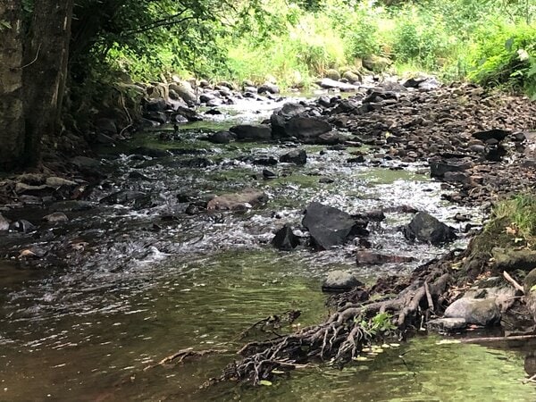 3. Holzhausener Gewässergespräch