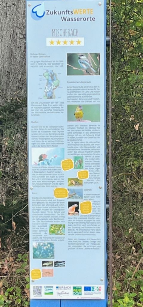 ZukunftsWERTE Wasserorte – Mischebach