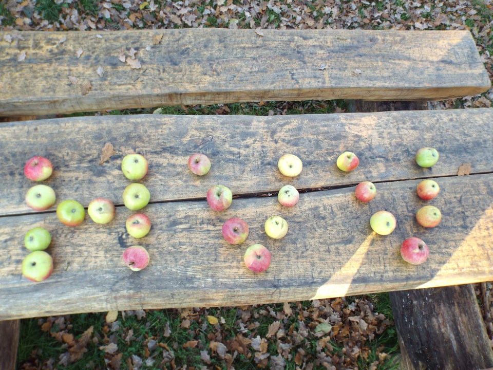 Historischer Obstgarten Wiederstein