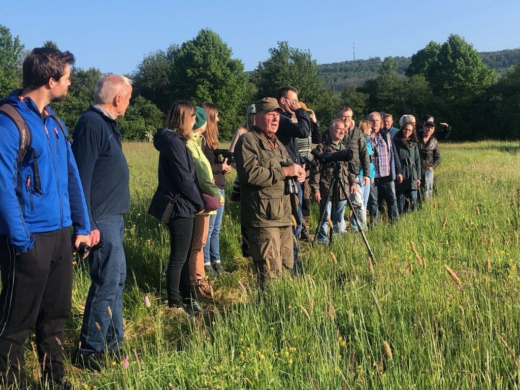 Vogel-Exkursion für Frühaufsteher