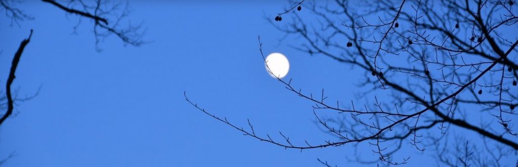 Magisch – Dunkel – Vollmondnacht