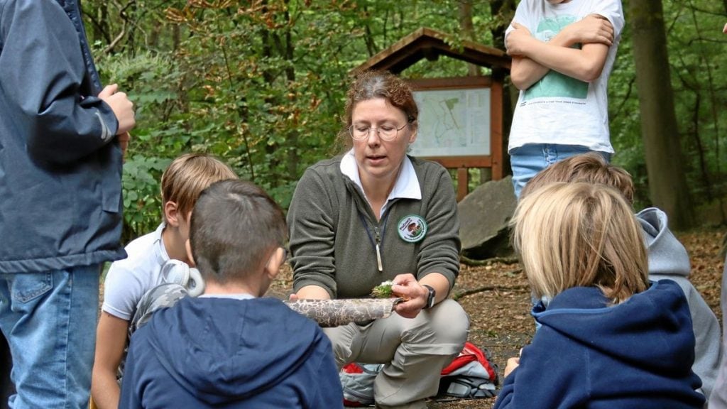 Die Pilzwelt mit allen Sinnen erforschen