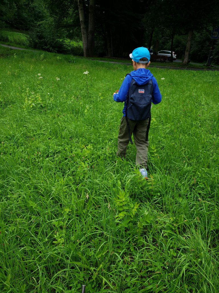 Abenteuer-Wanderung: Mit dem Rucksack auf den Spuren der Ameisenbläulinge