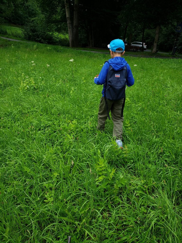 Abenteuer-Wanderung: Mit dem Rucksack auf den Spuren der Ameisenbläulinge