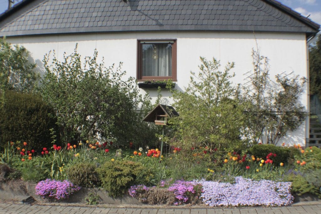 Rettet den Vorgarten – pflegeleicht und artenreich statt Beton und Schotter