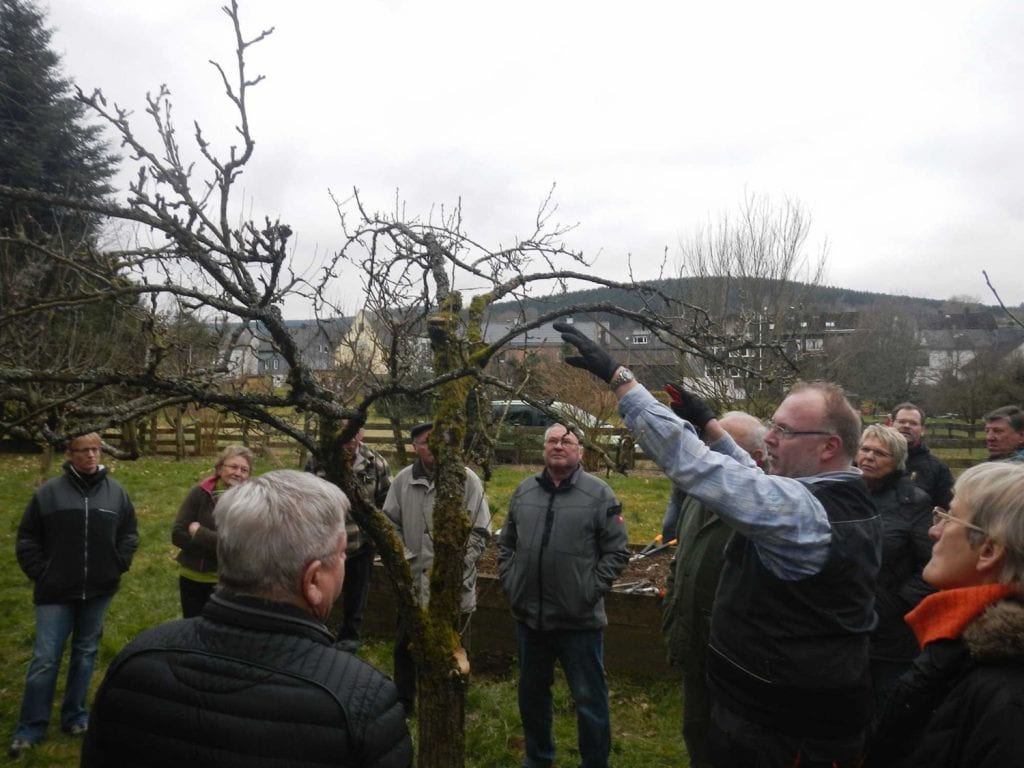 Der richtige Schnitt für Kirschbaum, Apfel- und Co