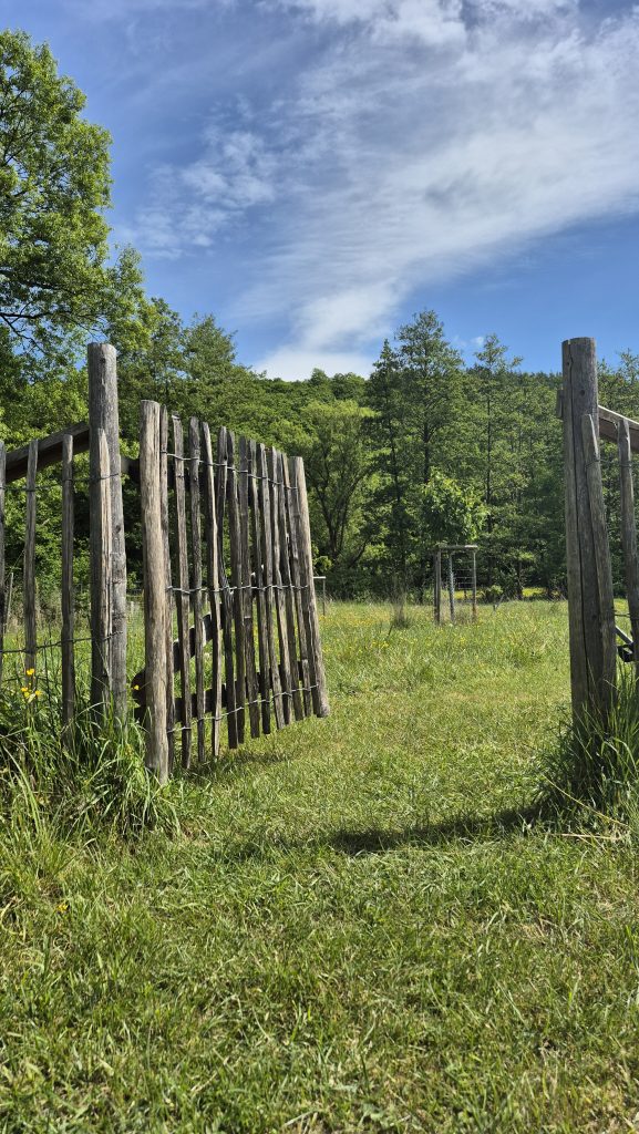 16. Tag der offenen Gartentür 2026 in Burbach