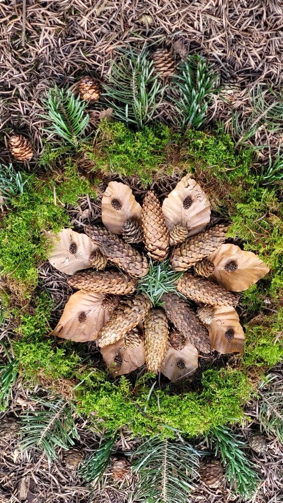 Resilienz-Workshop: Kreative Natur für Jugendliche