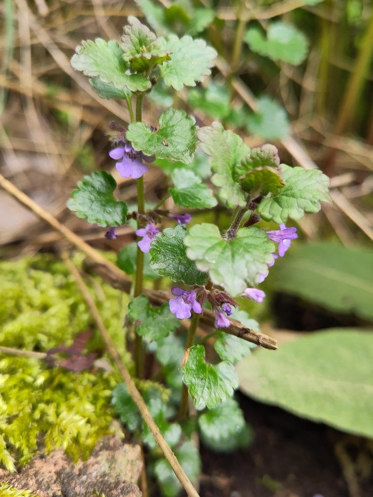Die Natur mit allen Sinnen erleben