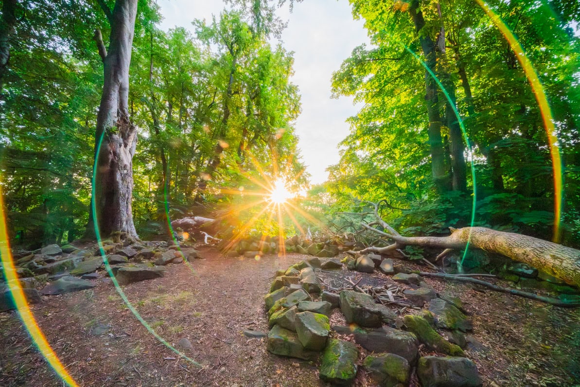 Natur sehen lernen – Fotowalk am Großen Stein 