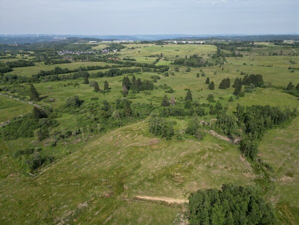 Naturkundliche Besonderheiten im Buchhellerquellgebiet und Stegskopf