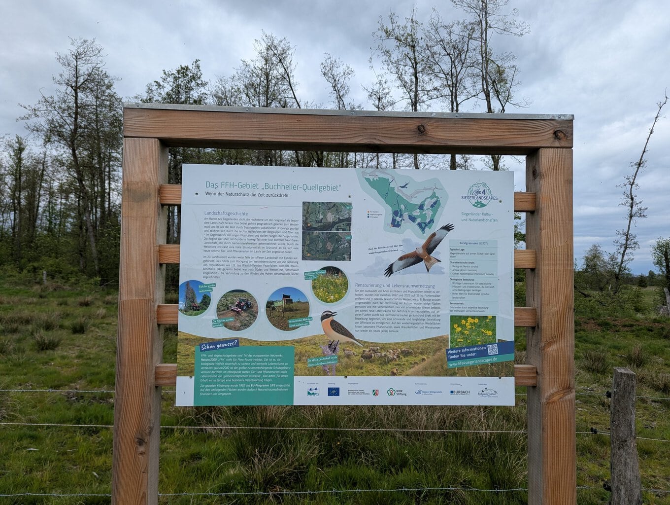 Stegskopf: Wenn der Naturschutz die Zeit zurückdreht