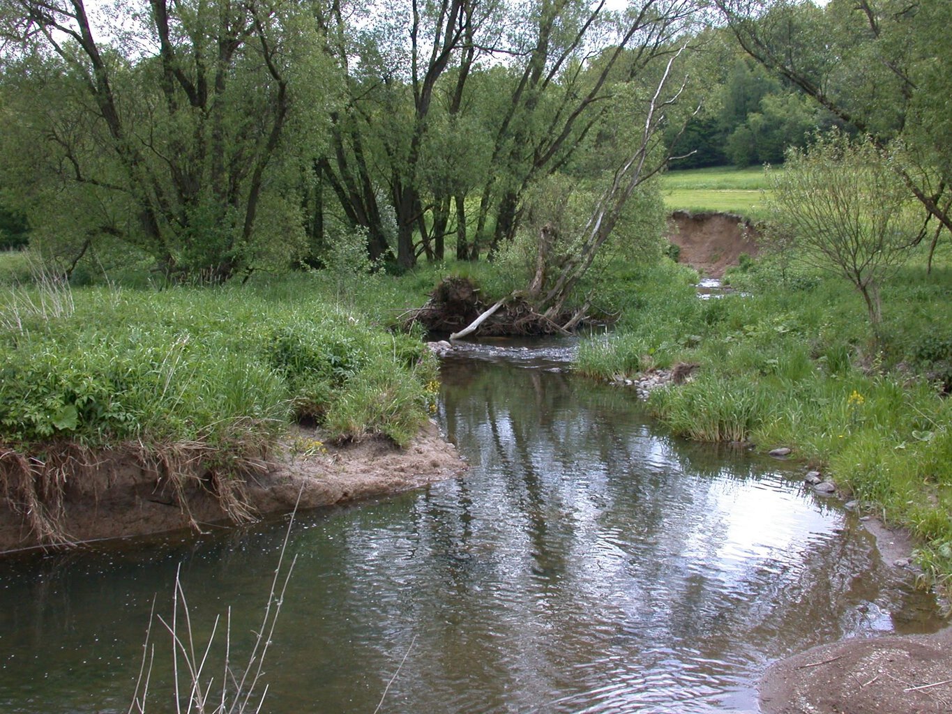 Holzhausener Naturtour im Sommer